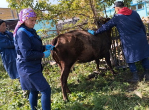 Хабарландыру