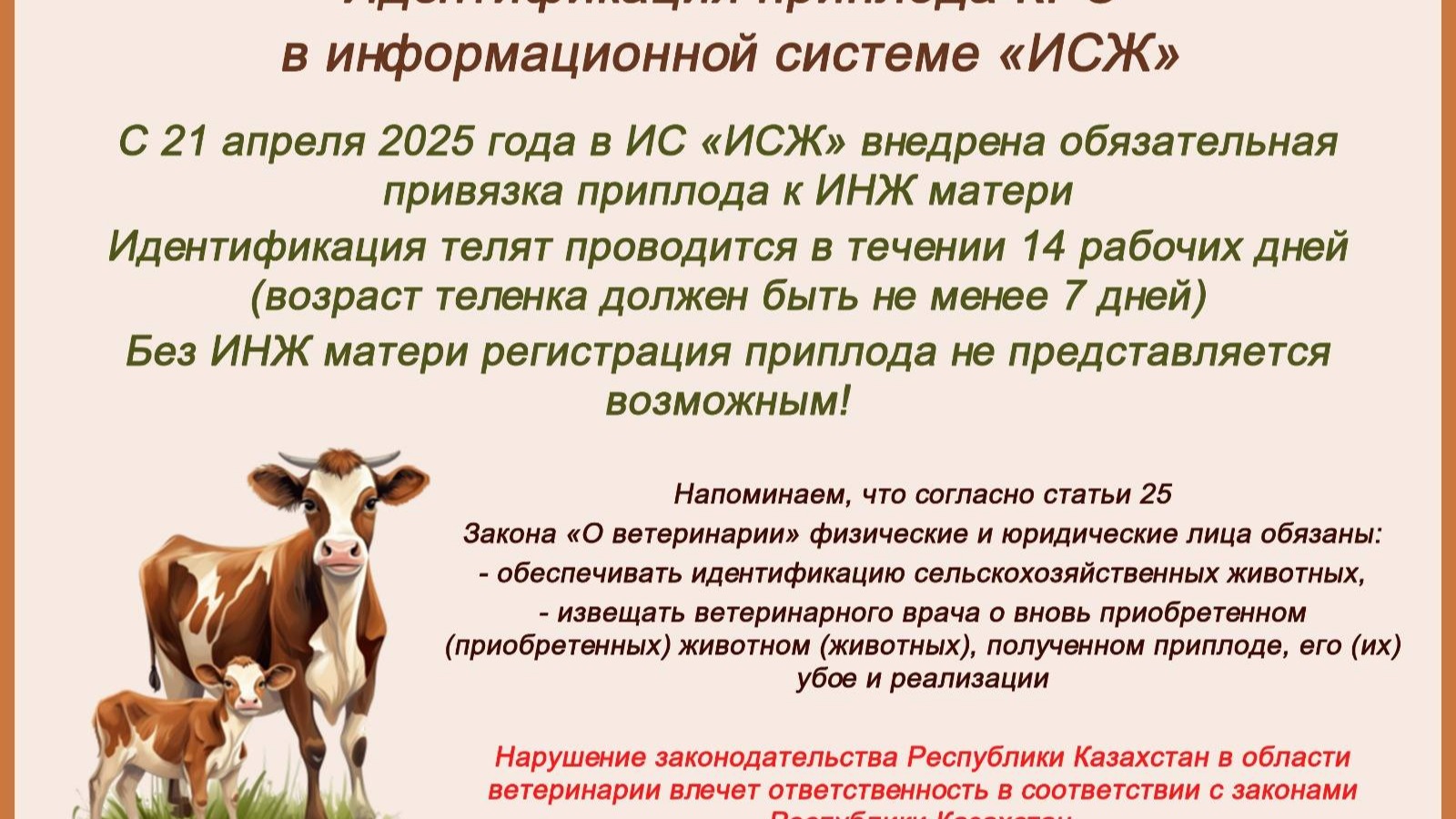 Информация