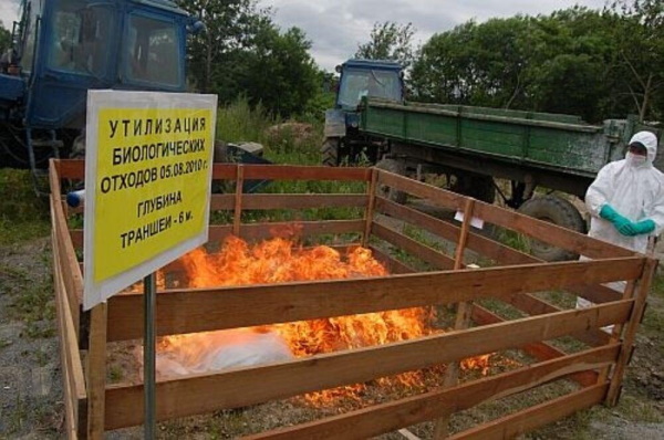 Мал қорымдары, биологиялық қалдықтарды кәдеге жарату