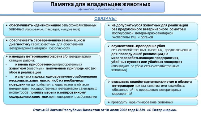 Памятка для владельцев животных